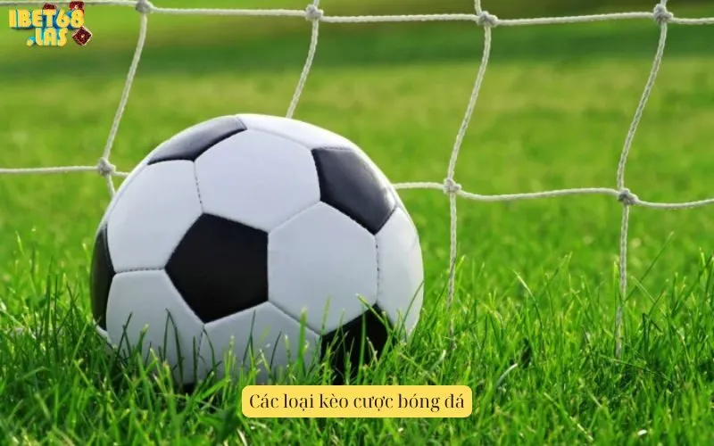 Các loại kèo cược bóng đá