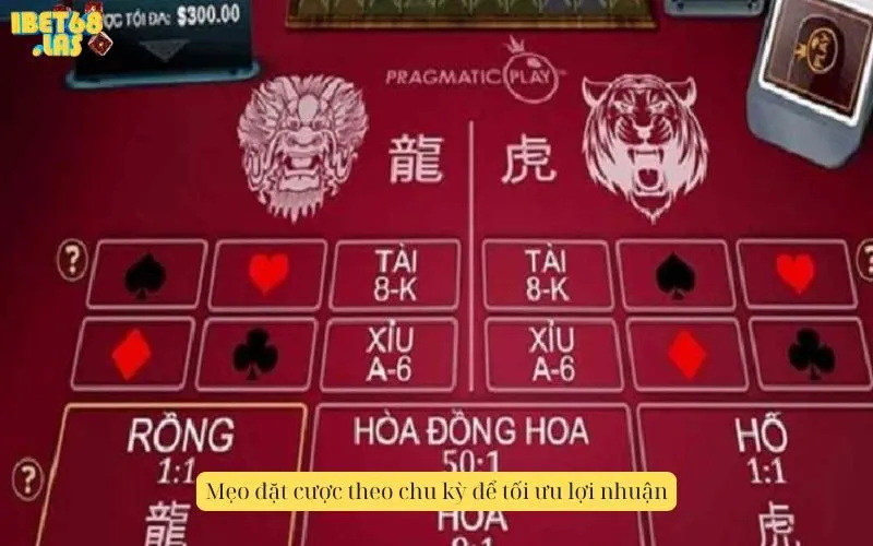 Mẹo đặt cược theo chu kỳ để tối ưu lợi nhuận