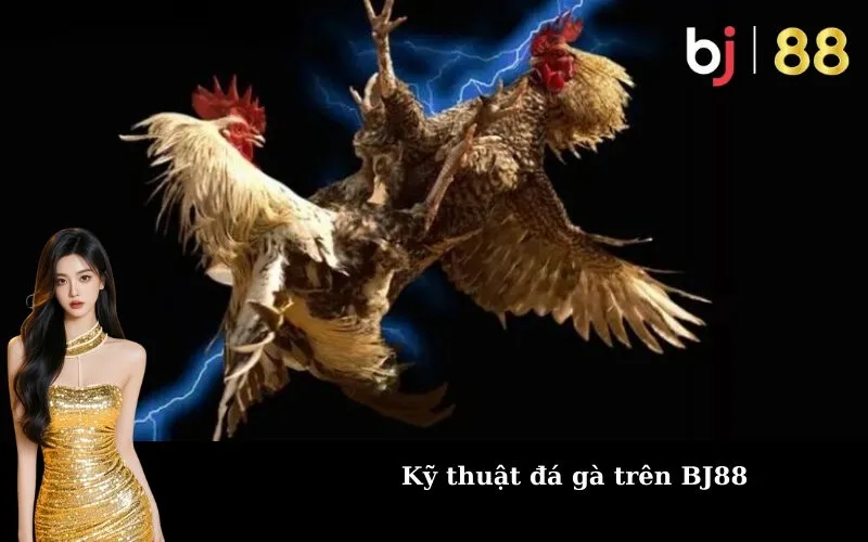 Kỹ thuật đá gà trên BJ88